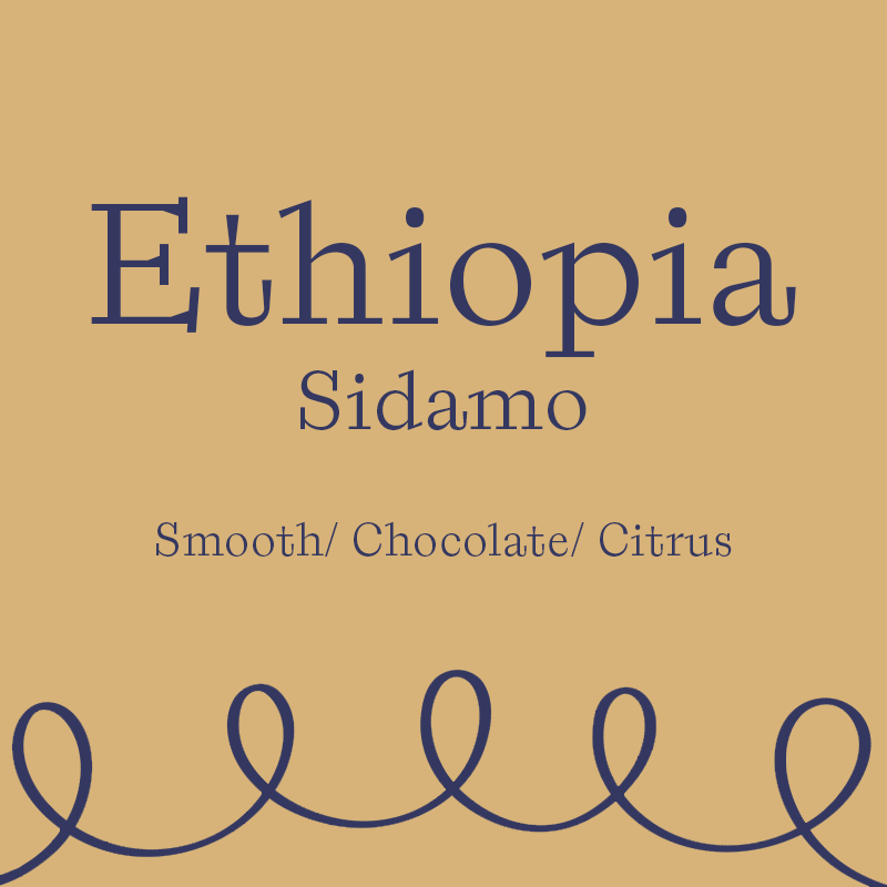 Sidamo (250 Grams)