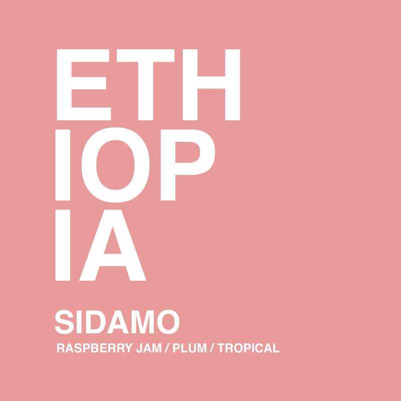Sidamo (250 Grams)