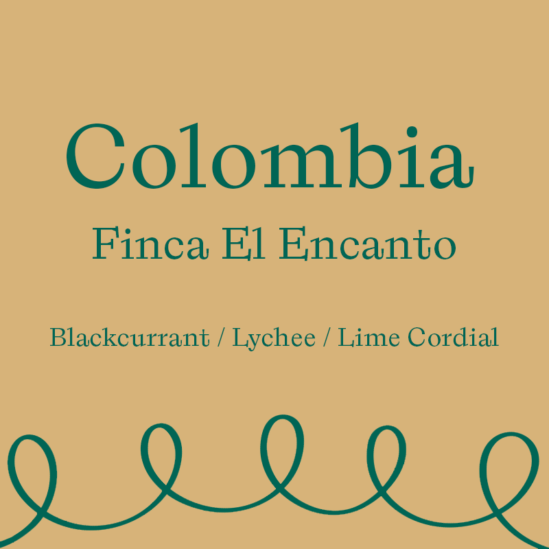 Finca El Encanto (250 Grams)