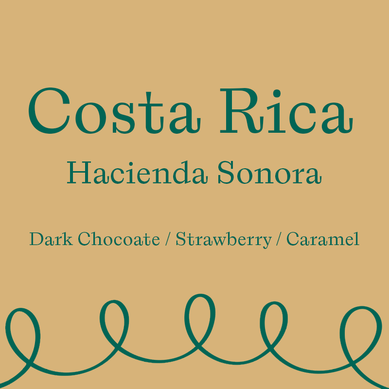 Hacienda Sonora (250 Grams)