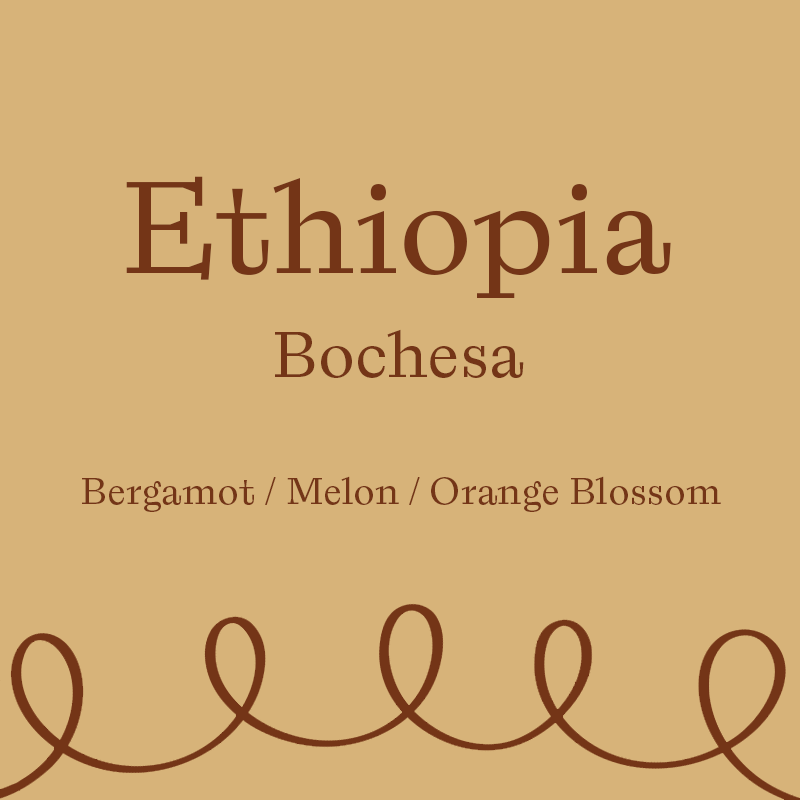 Bochesa (250 Grams)
