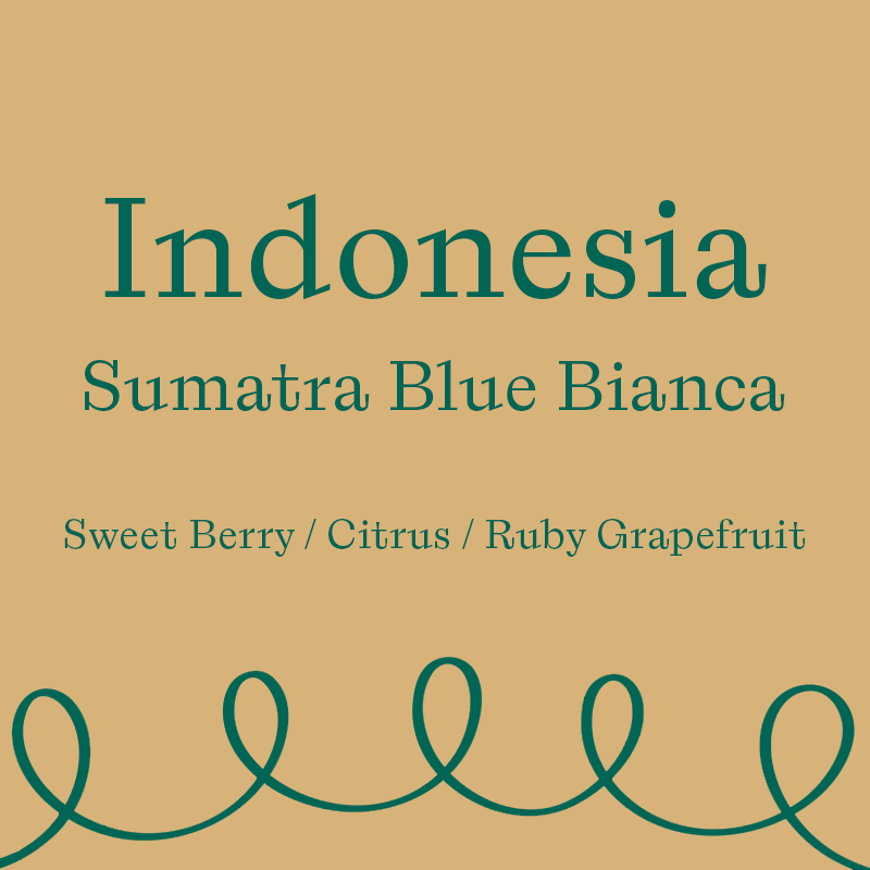 Sumatra Blue Bianca (250 Grams)