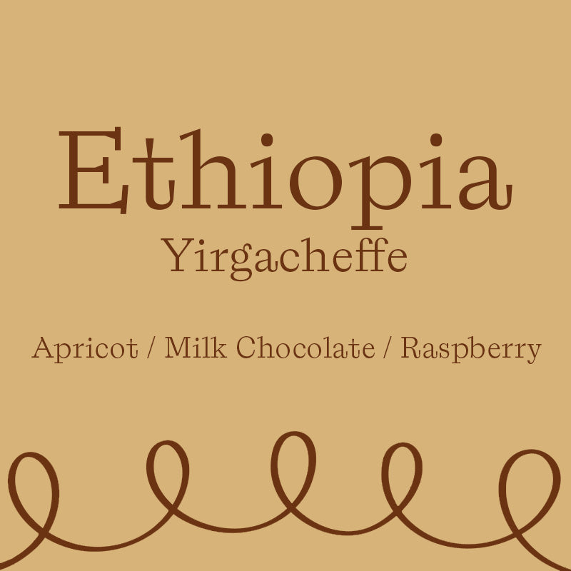 Yirgacheffe (250 Grams)